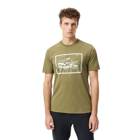 Mountain print