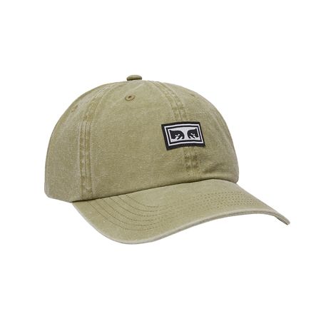 ICON EYES PIGMENT 6 PANEL VELCRO BACK