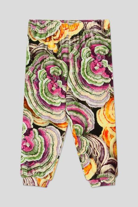 Спортивные брюки Alfi Wood Fungi Molo