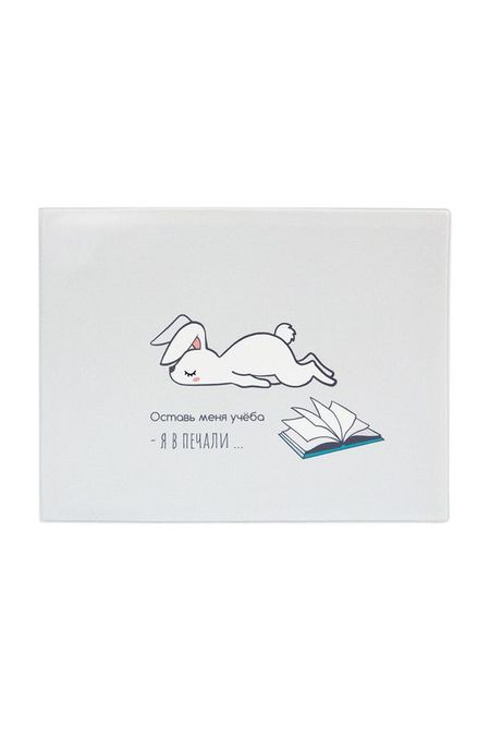 Обложка на зачетную книжку Печаль Kawaii Factory