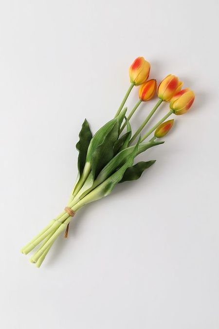 Ветка декоративная Tulipano EDG