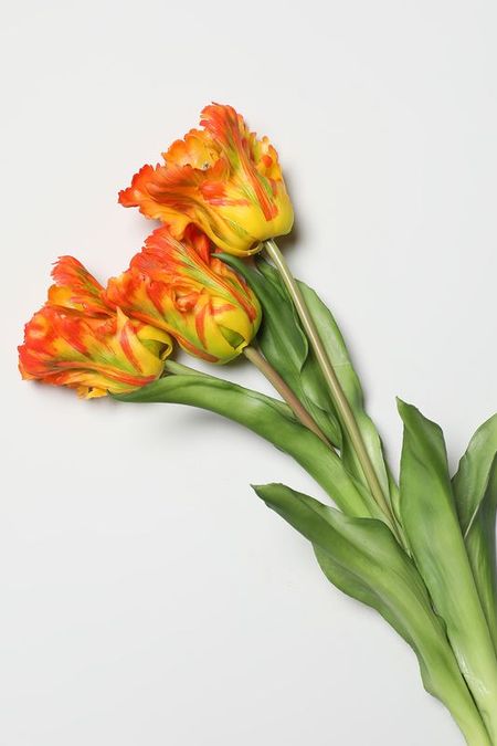Декоративный букет Tulipano EDG