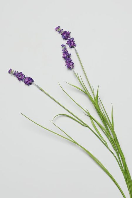 Ветка декоративная Lavanda в ассортименте EDG