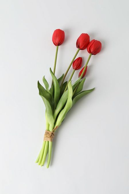 Ветка декоративная Tulipano EDG